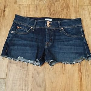 Hudson Croxley Shorts